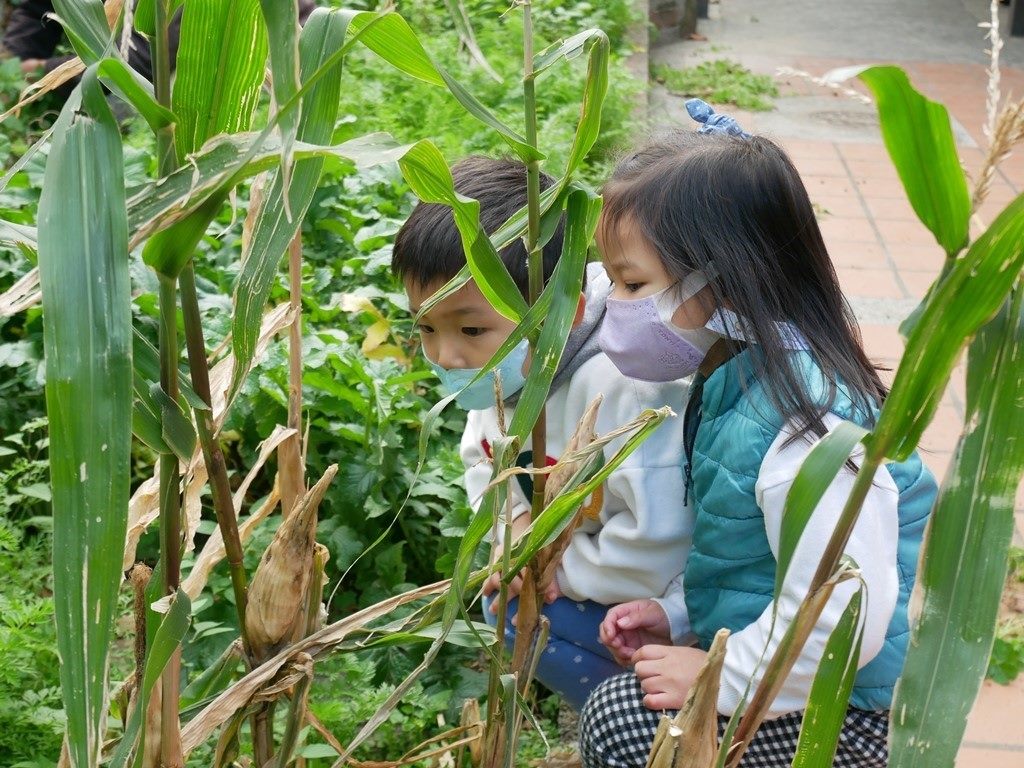 北市校校有田園，99校示範推動垂直綠化，實踐綠色校園